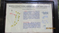 IMG_2803.jpg, 23kB